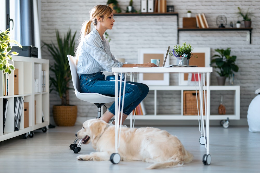 Incubateur d'entreprises : un tremplin vers le succès pour les startups